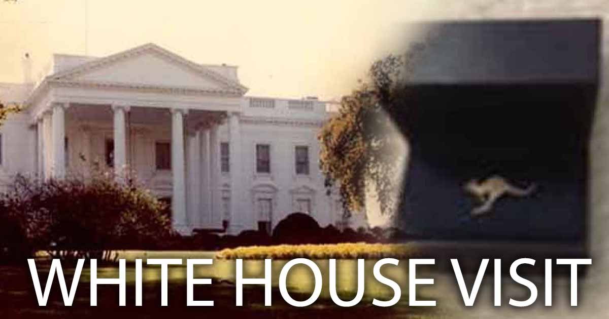 Toby Featured 1200x630 White House