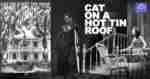The Queensland Theatre Company production of Cat On A Hot Tin Roof (QTC, Brisbane)