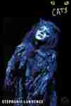 Stephanie Lawrence in CATS 1