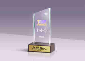 Toby Awards Trophy Generic