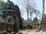 Cambodia Angkor Wat Ta Prohm Temple of the Jungle complex