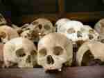 Cambodia Phnom Penh S21 Genocide Museum skulls on helves