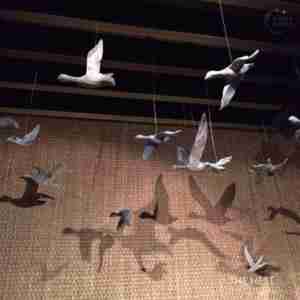 Nest Opening 2015 Shanghai flying geese