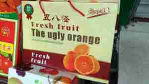 Chinglish Fresh Ugly Orange