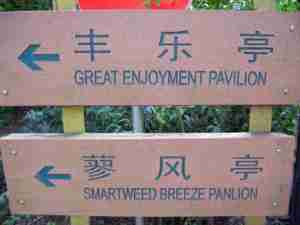 Chinglish Great Enjoyment... smartweed