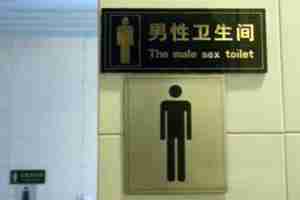 Chinglish Male Sex Toilet
