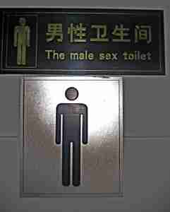 Chinglish Male Sex Toilet another one