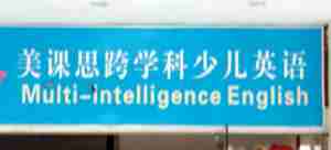 Chinglish Multi Intelligence English