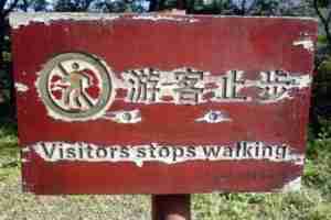 Chinglish Visitors Stop Walking
