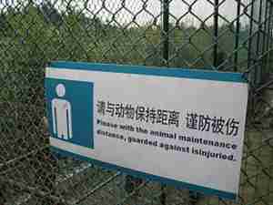 Chinglish animal maintainece