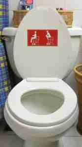 Funny China Sign TransCentury Hotel Toilet Instructions Toilet