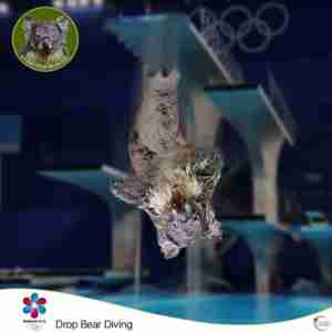 Brisbane 2032 Sport Drop Bear Diving