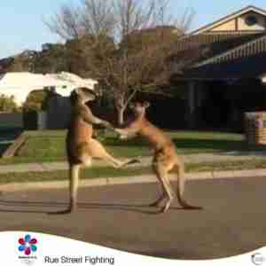 Brisbane 2032 Sport Rue Street Fighting