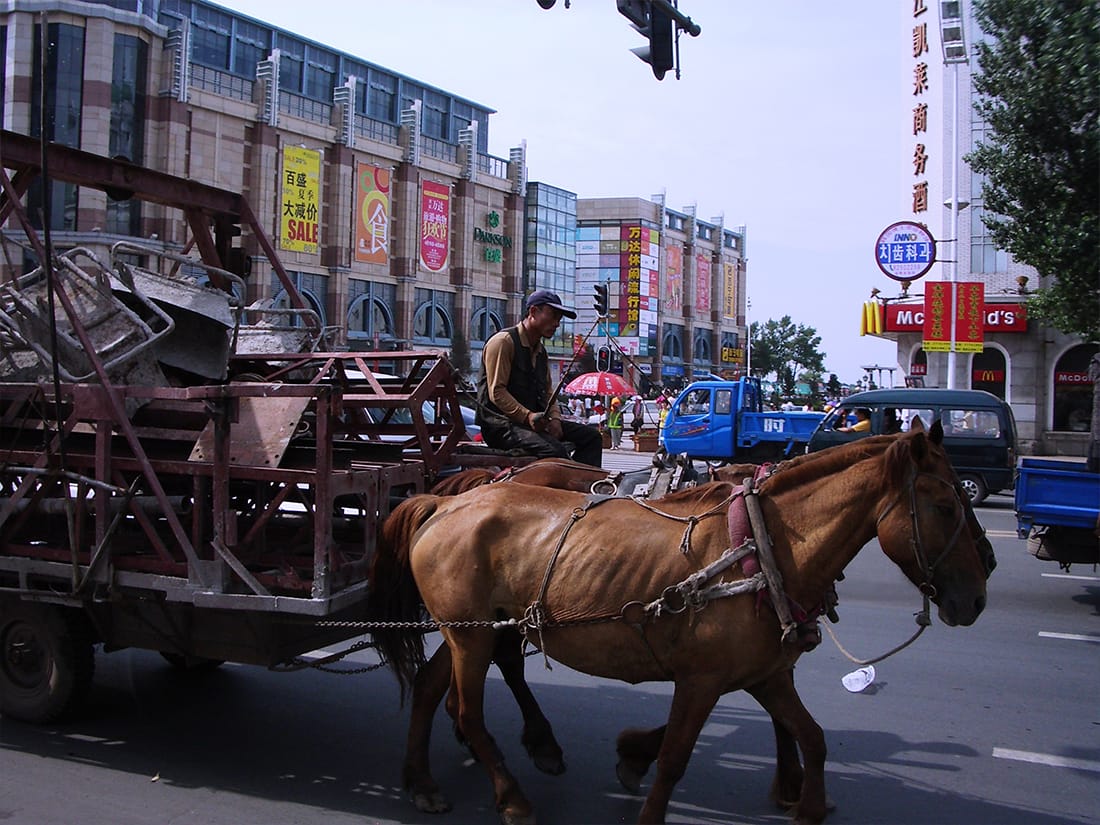 Harbin Horse Sledge